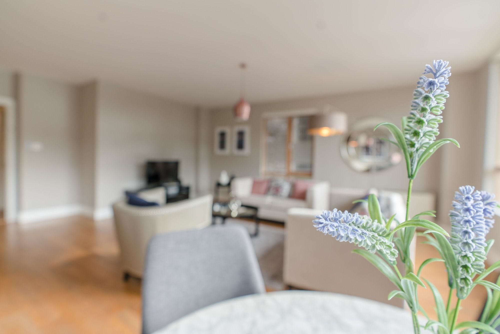 דבלין The Grand Canal Dock Apartment מראה חיצוני תמונה
